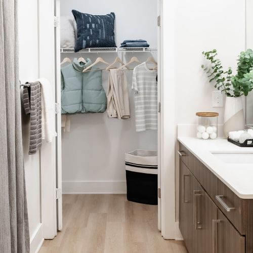 Bathroom and Closet