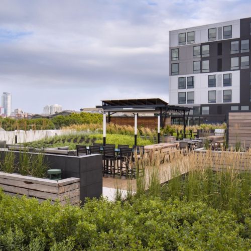 Thoughtful landscaping for a rooftop that feels grounded and serene