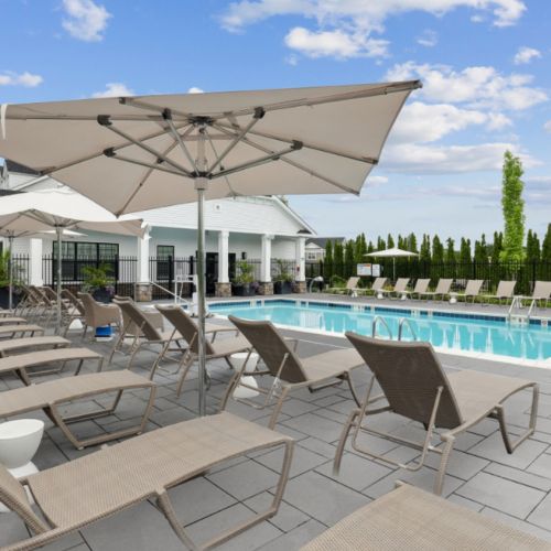 Pool loungers and umbrellas