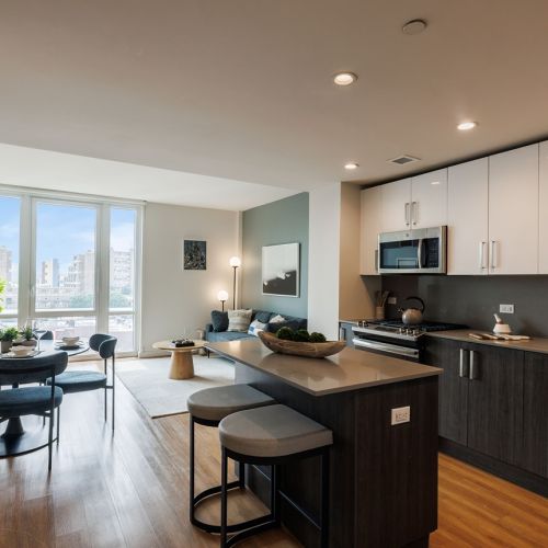 Kitchen / Living Room