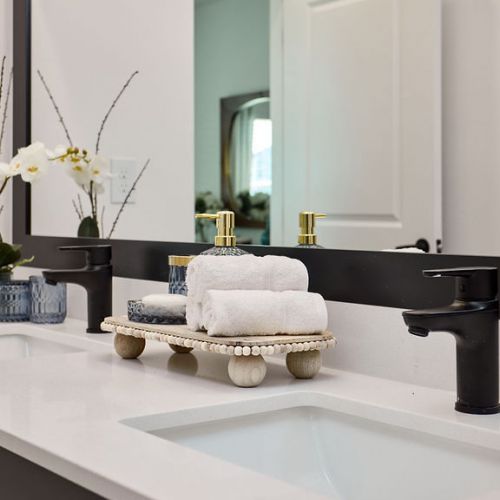 Double vanity sinks and large mirror