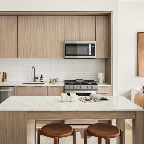 Linea-Luxury-Apartment-Kitchen-Charlotte-North-Carolina