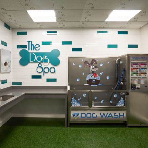 Pet Spa