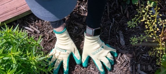 Wellness-is-a-way-of-life