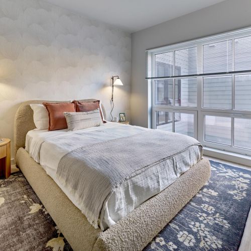 Studio to three bedroom apartments in new haven