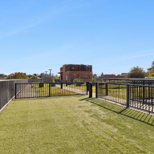 Outdoor dog run and play area at Smith & Burns apartments in Seattle