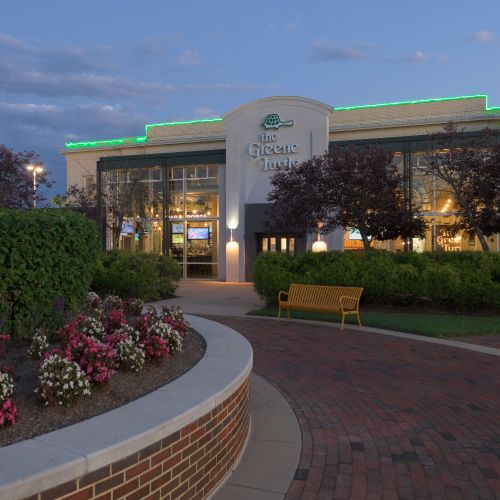 Photo of greene turtle