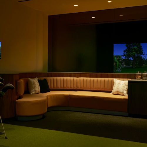 Photo of golf simulator