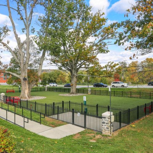 Gated large dog park 