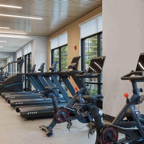 From cardio to strength training, we have it all