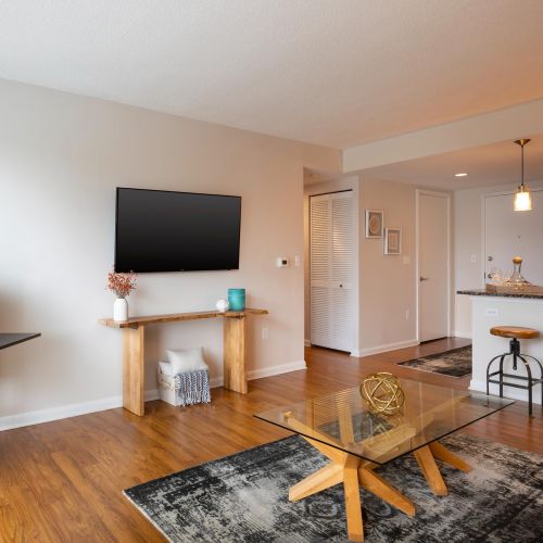 Bright living room with TV