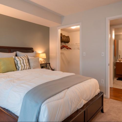 Bedroom with walk-in closet and bathroom