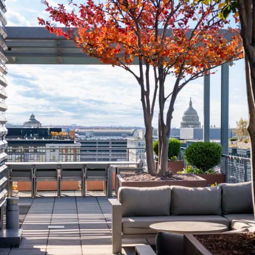 Photo of rooftop courtyard