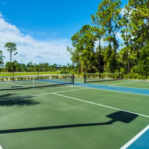 Tennis and pickleball court